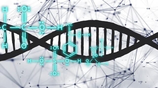 Turquoise glyphs emerging at center starting black helix rotating, diagrams forming map for data