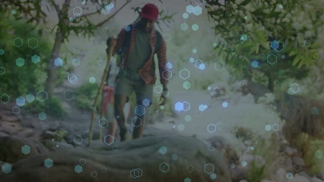 cam tracking outdoor hiker descending roots with staff or pole choosing steps under hex overlay hidi