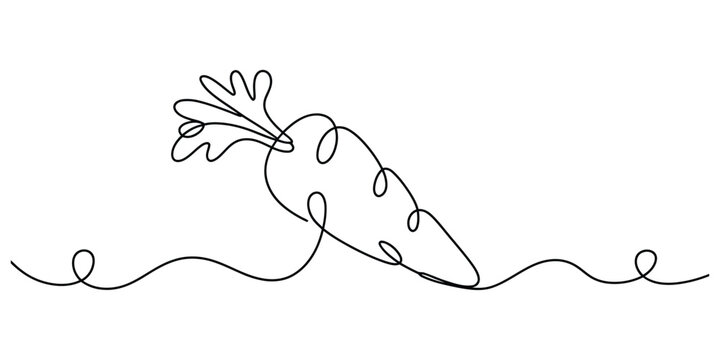 Continuous single line drawing of a carrot isolated