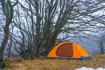 closeup red touristic tent stay on forest glade in dense blue mist © Yuriy Kulik