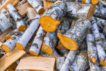 closeup heap of birch tree trunk on the forest glade © Yuriy Kulik