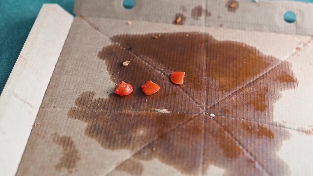 Orange pieces are scattered on a cardboard surface, creating noticeable stains. Leftover food on a cardboard box after eating pizza