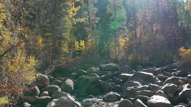 Mountain stream flowing over rocks with autumn forest in alpine setting