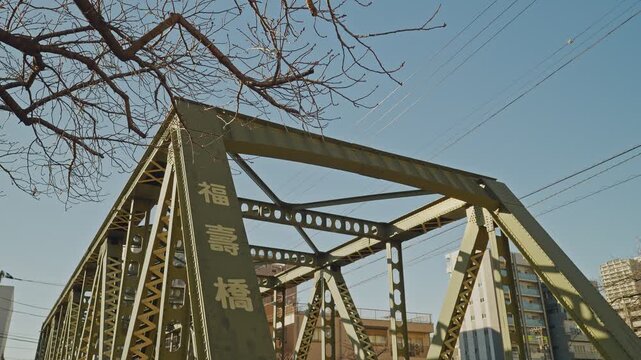 Fukuju Bridge's yellow-green steel truss rises beneath bare winter tree branches against a pale blue sky in Tokyo, with Japanese nameplate visible, captured as a static low-angle upward shot.