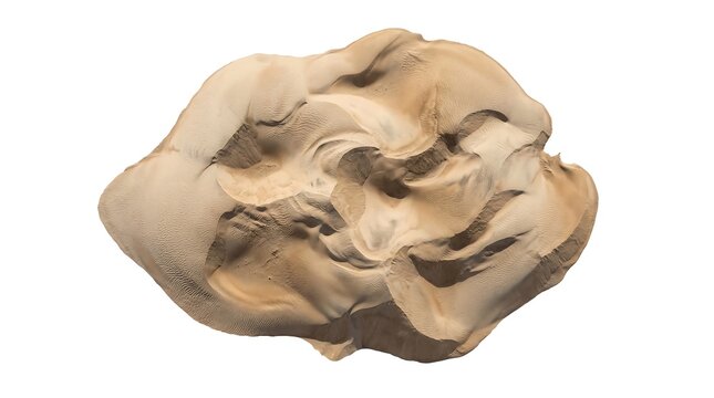 Ancient Stone Hand Axe with Flake Scar Patterns.
