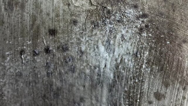 Person spraying powerful cleaning detergent foam onto a moldy concrete wall for effective removal, showing a detailed close up of the toxic fungus problem in a damp home