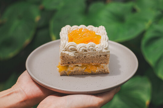 Baking delight mango cream cake outdoor garden dessert photo natural light