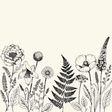 A costly botanical design with stylish flowering plants and basic flowers that can be used for walls or weddings. A line drawing of a herb with pretty leaves for a 'Save the Date' card. Country of pla