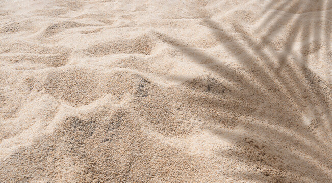 Natural sand texture background with soft sunlight and palm leaf shadow, minimal summer beach concept, warm tone surface for design, copy space, tropical vacation, relaxation and nature backdrop