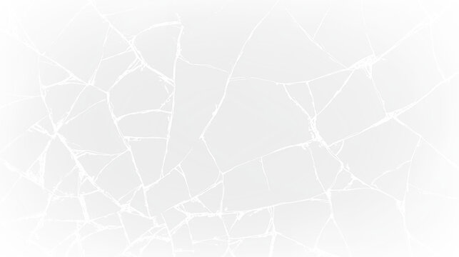 Cracked surface with detailed patterns on a transparent background showing contrast in color from black to white