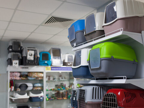 Retail pet store interior showing shelves filled with stacked plastic pet carriers, litter boxes and other pet accessories. Pet product display.