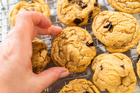 Hand holding chocolate chip cookie close up