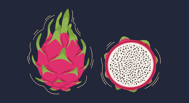 Detailed illustrations of a whole vibrant pink dragon fruit and a halved fruit showing white flesh and black seeds.