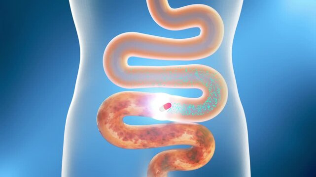 3D animation of intestinal probiotics enhancing gut motility, digestion, and toxin removal. Helps clean stool buildup. Concept of intestinal and digestive health.