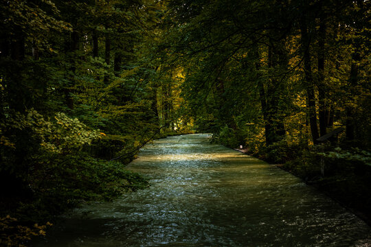 Shaded Waterway Surrounded by Trees Flowing Through Englischer Garten in Munich, Germany