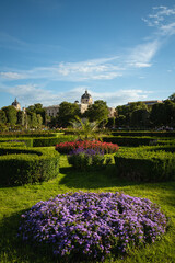 Obraz premium Colorful Flower Beds of Volksgarten Park with Kunsthistorisches Museum in Background - Vienna, Austria
