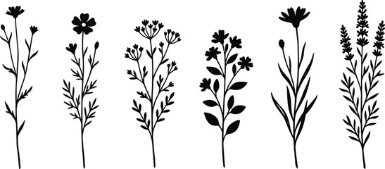 Botanical wildflower silhouette vector set featuring black floral stems and meadow herbs for rustic nature design projects © Rakib