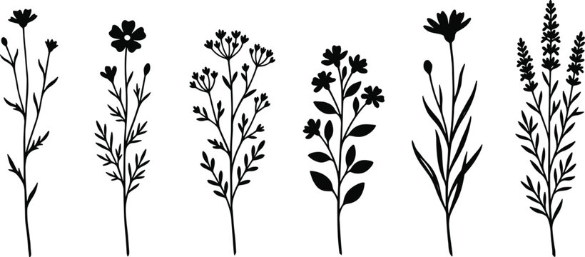 Botanical wildflower silhouette vector set featuring black floral stems and meadow herbs for rustic nature design projects