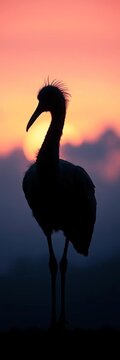 Whimsical dodo silhouette against a soft, pastel dawn sky, ethereal light painting its gentle form,  straight on,  dreamy