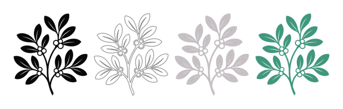 Mistletoe branch vector icon set, festive holiday plant illustration, Christmas mistletoe graphic element, winter botanical design resource, decorative foliage collection for seasonal projects
