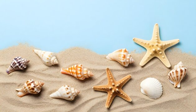 Collection of seashells and starfish scattered on fine beach sand with blue background