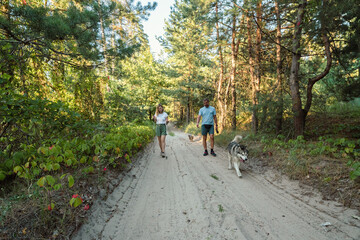 Fototapeta premium Couple Hiking with Dogs in Sunny Pine Forest on Sandy Trail, Nordic Walking Activity in Nature