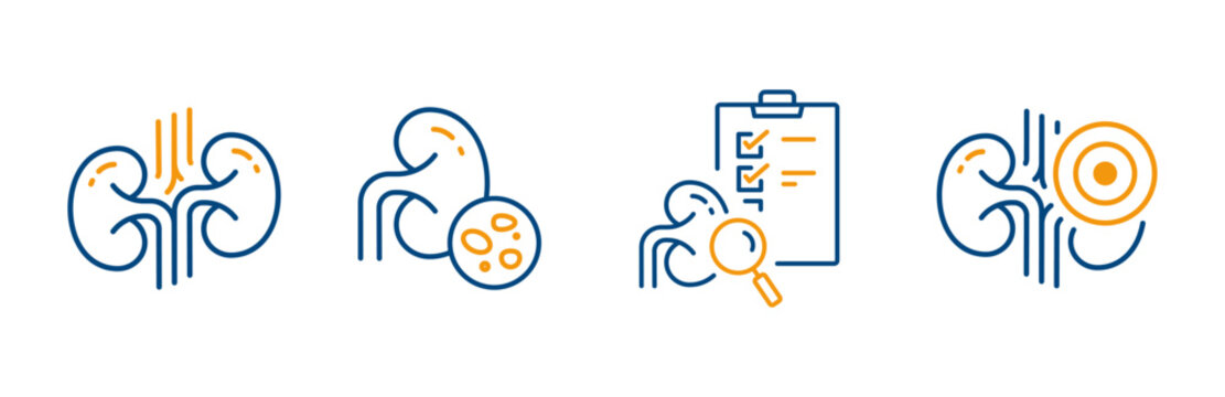 kidneys icons, urinary system, stones, pain in the kidneys, diagnostics or examination kidney, set editable outline icon vector