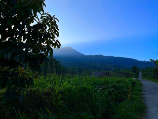 Fototapeta premium Scenic Mountain Landscape at Dawn with Lush Green Fields and Rural Path