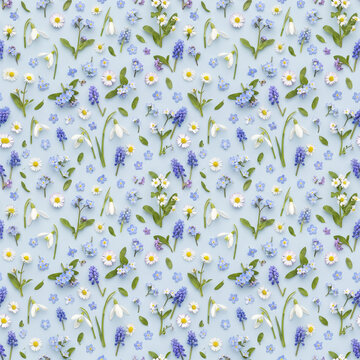 Tiny spring flowers on pale blue seamless background with delicate white, purple, and yellow blossoms creating fresh and cheerful floral pattern for design or decoration