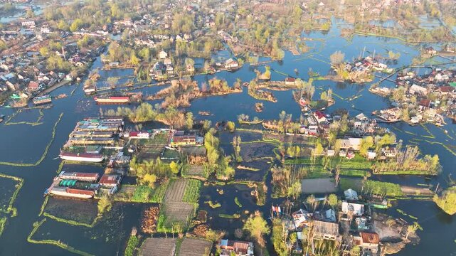 Aerial top-down forward flight over Dal Lake's floating villages, showcasing traditional houseboats, intricate waterways, and lush floating gardens in Srinagar, Kashmir.