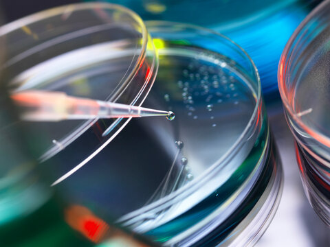 Pipetting liquid into petri dish for medical research