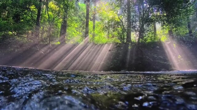 朝日に輝く阿蘇の立岩水源