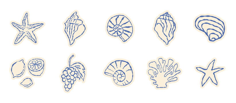 Vector hand drawn sketch doodle illustrations in naive art style, summer sea and beach vacation theme, stickers and drawing for  tropical coastal prints, posters and banners, seashells, fruits, corals