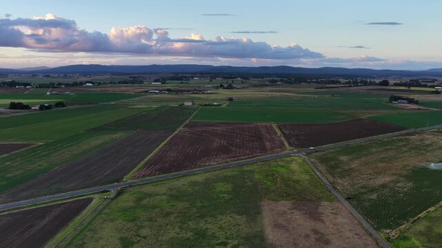 Aerial video flying over green and cultivated fields in Morpeth in NSW, Australia. Scenic rural landscape showing farmland patterns and agricultural environment.