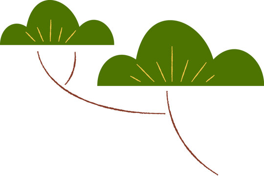 Oriental Pine Tree Branch