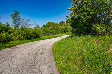 Fototapeta premium Winding rural road bordered by tall grass and trees under a clear blue sky, evoking peaceful travel through the Italian countryside