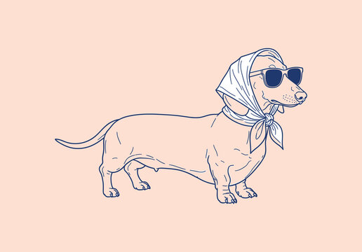 Dachshund dog wearing sunglasses and headscarf vector illustration in funny babushka style showing charming long haired pet personality on pink background for whimsical card design graphic.