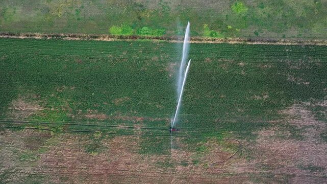 Aerial downward video of travelling irrigator watering farmland in NSW, Australia. Agricultural landscape showing irrigation system distributing water across cultivated fields from above.