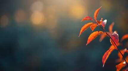 Vibrant orange-red leaves on a branch, illuminated by warm autumn sunlight, against a soft, dark bokeh background. © Talia