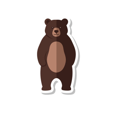 Brown bear standing on two legs.