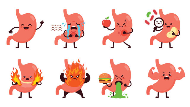 Extensive set of eight stomach organ characters displaying various health conditions and emotions for medical education theme.