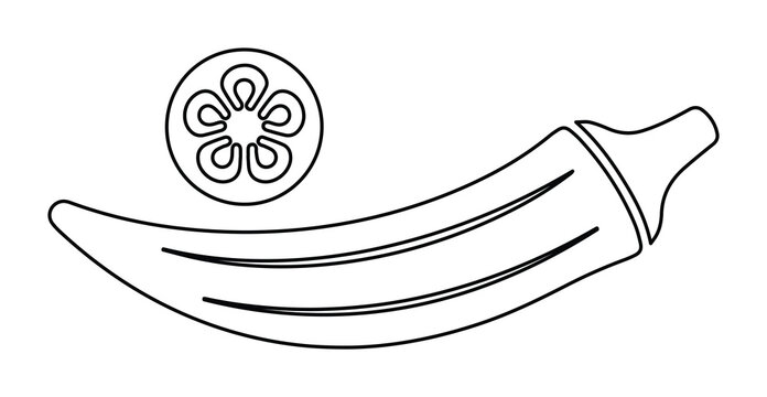 Minimalist okra line art vector, fresh lady finger vegetable outline illustration, simple black and white okra pod and slice icon for culinary design