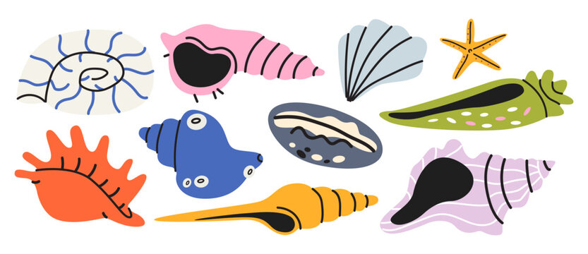 Collection of various sea shells, mollusks and starfish in cartoon doodle style. Coastal beach elements isolated on white background
