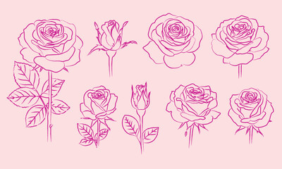 Fototapeta premium Cute hand drawn pink line art illustration of detailed roses in various stages of bloom for floral design, wedding invitation, wallpaper art, save the date card, isolated on light pink background