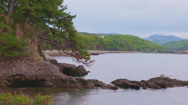 大分の景勝地、奇岩に根を張る松と国東半島から見る海の絶景