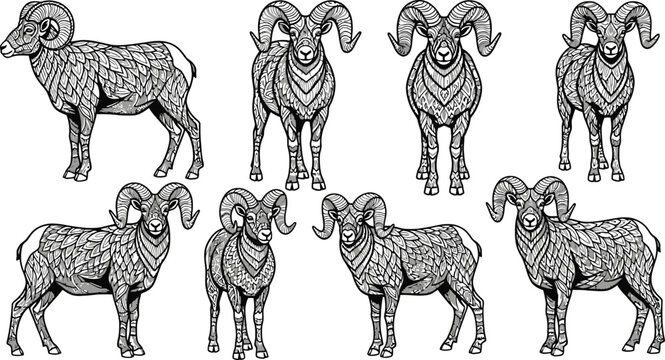 Intricate line art collection of bighorn sheep in various poses