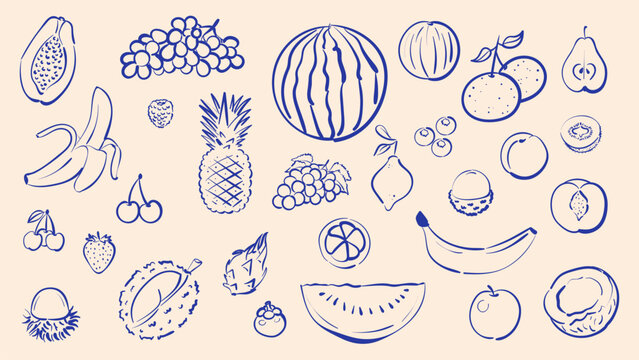 Big collection of fruit icons in vector doodle style. Hand drawn minimalist fruits and berries like banana, pineapple, watermelon, grapes and papaya with blue ink texture for organic food menu and pac