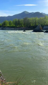 Dragon Teeth rocks in Katun River near Elekmonar Chemal Altai Republic Russia mountain landscape