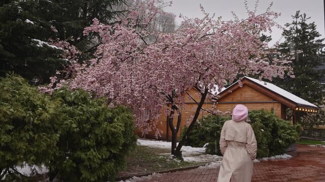 White woman in pink beret walking near wooden cabin and pink blossom tree, traveler pausing on brick pathway with snow patches