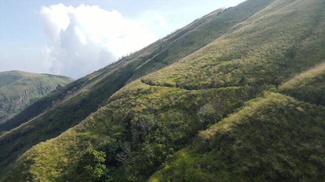 Beautiful 4K drone footage of the golden grassy slopes of Mount Penanggungan and hiking trails under bright sunlight.